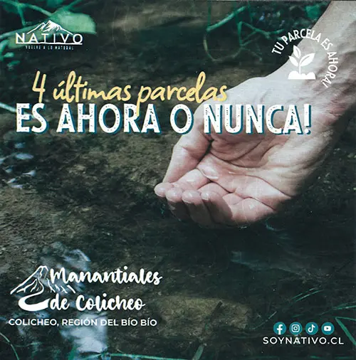 Parcelas a la venta cerca de Cabrero, Biobío